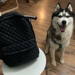 MzWallace Metro backpack (dog not included)